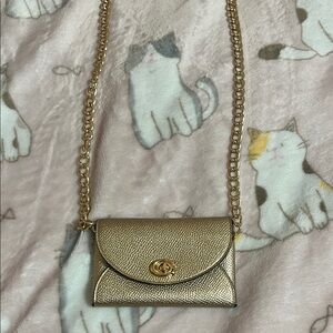 Coach Gold Chain Shoulder Bag / Card Holder